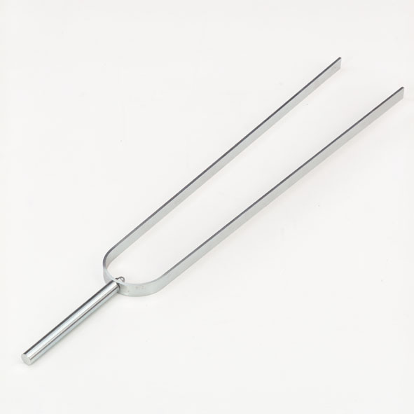 Tuning fork model