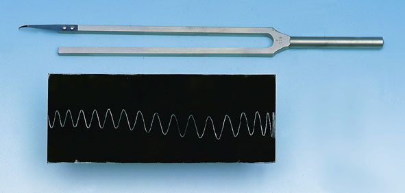 Recording tuning fork