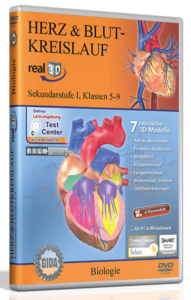 DVD: Heart & blood circulation