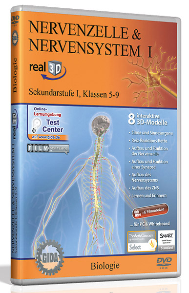 DVD: Nerve cell & nervous system