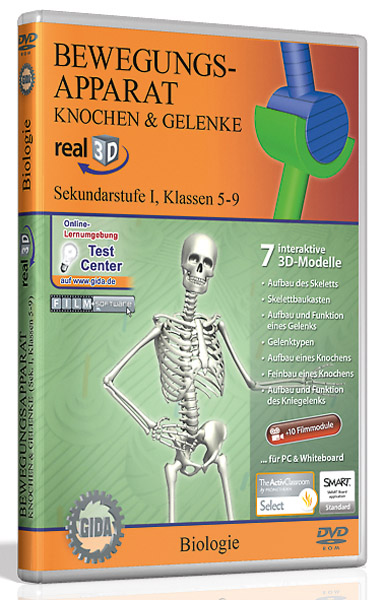 DVD: Musculoskeletal system