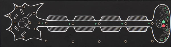 Demonstration neuron module