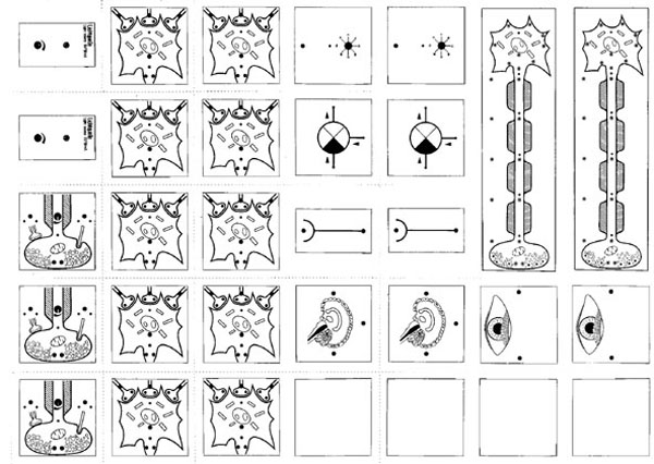Cards with symbols for BIOMODULE, set of 62