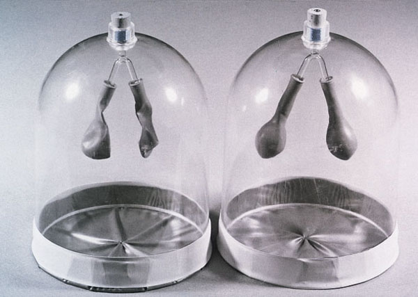 Functional model of the human lung