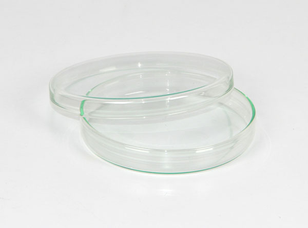 Petri dish, 100 x 15 mm, glass