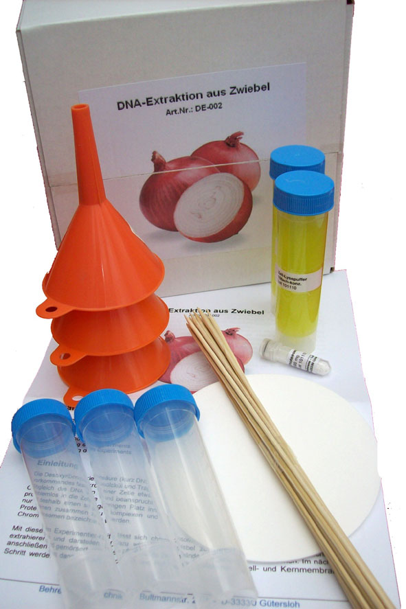Exp. Kit: DNA extraction from onion