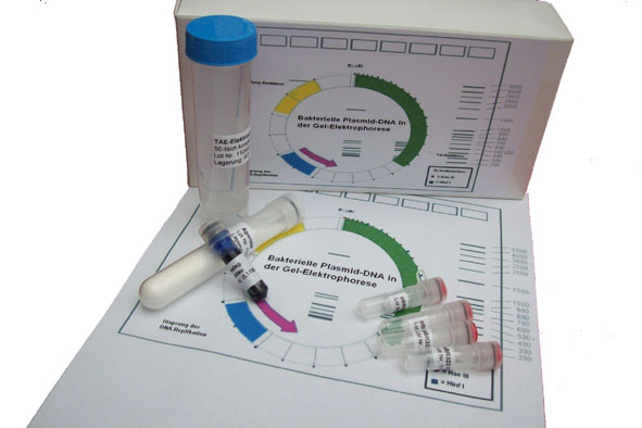 DNA kit bacterial plasmid DNA