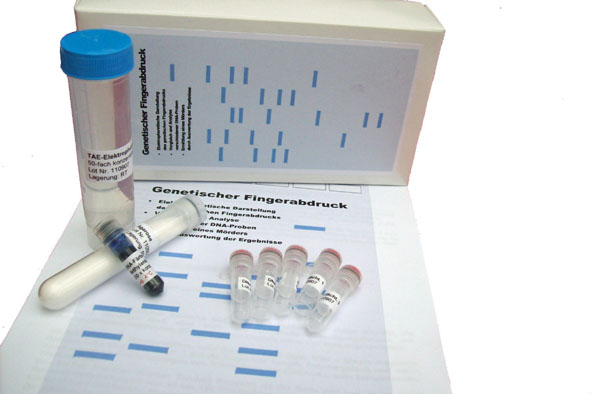 DNA kit genetic fingerprint