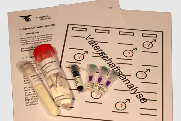 DNA kit paternity analysis