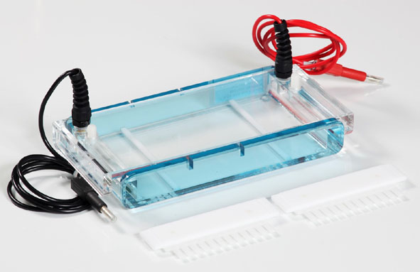 Electrophoresis chamber