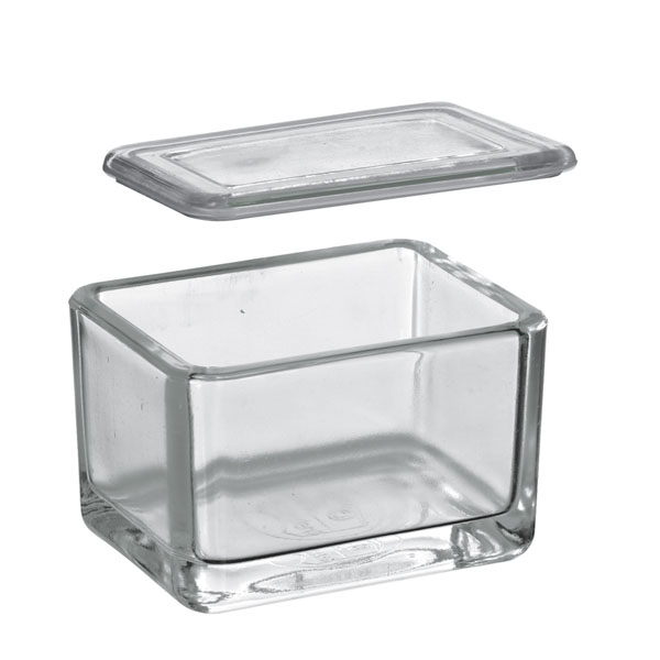 Glass trough with cover alone