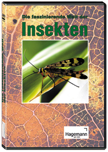 DVD: Insects, single license