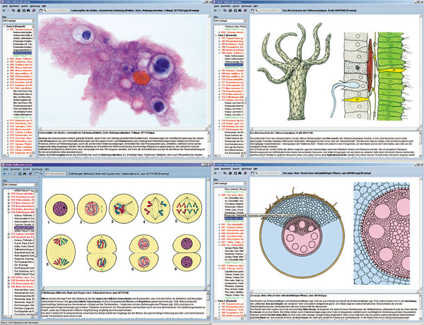 CD: Microscopic biology - Set A