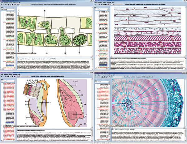 CD: Microscopic biology - Set B