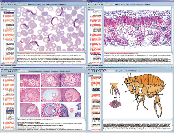 CD: Microscopic biology - Set C