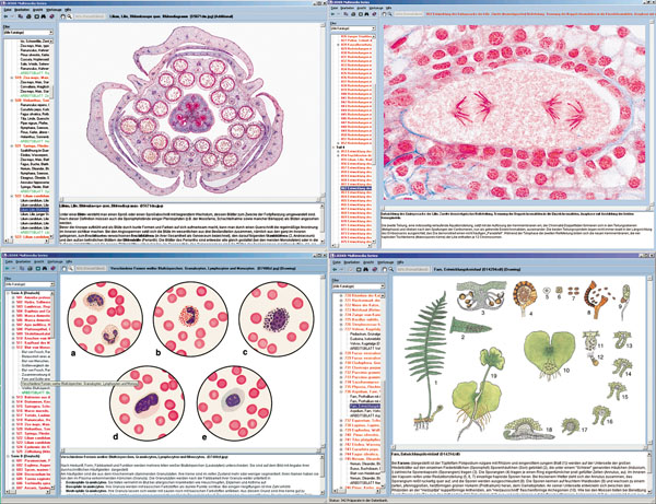 CD: Microscopic Biology, Set A, B, C and D