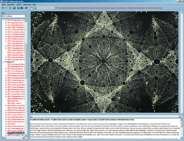 CD: The Structure of Matter, Part I: Fundamentals