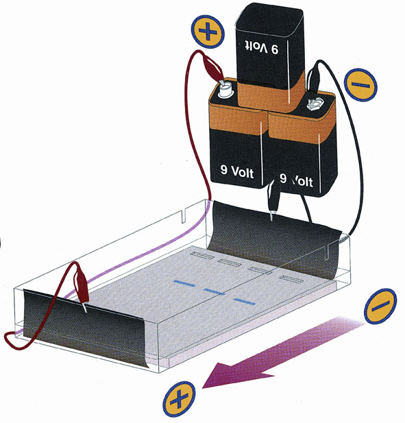 Electrophoresis of dyes