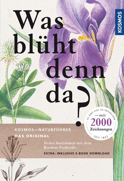 LIT-print: What is blooming there? Drawings, German