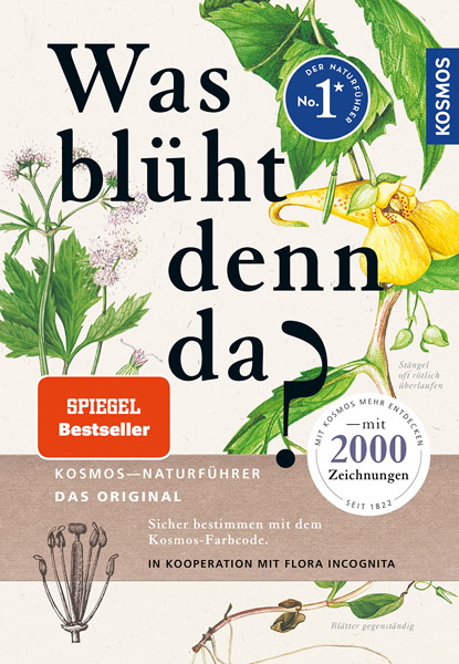 LIT-print: What is blooming there? Drawings, German