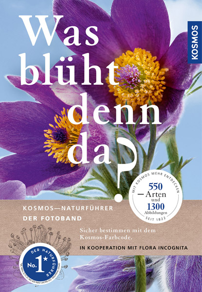 LIT-print: What is blooming there? Photobook, German