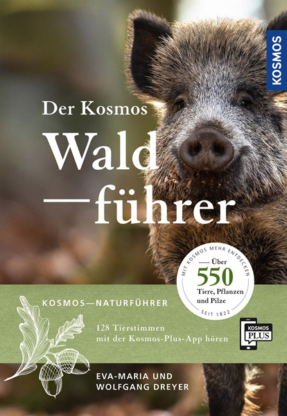 LIT-print: The Cosmos forest guide, German