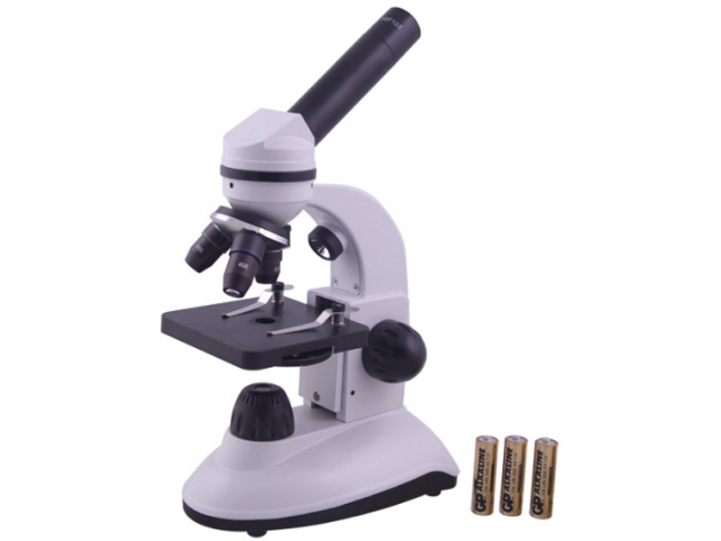 United Scientific Supplies 100-06 Lame de microscope préparée « Bactéries,  3 types »