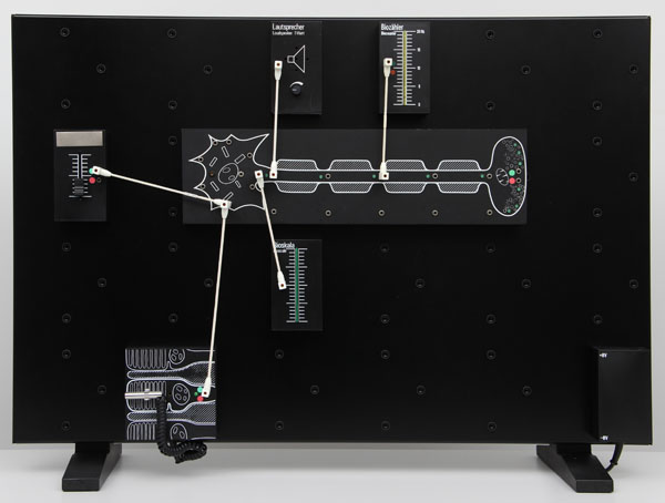 Frequency modulation: receptor and action potential