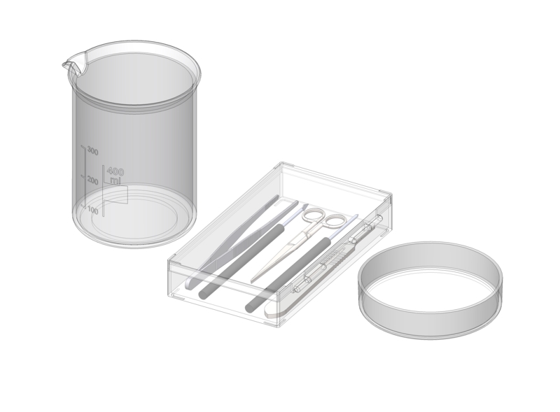 Preparation of a porcine eye