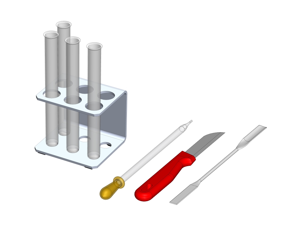 Effect of the enzyme catalase on yeast