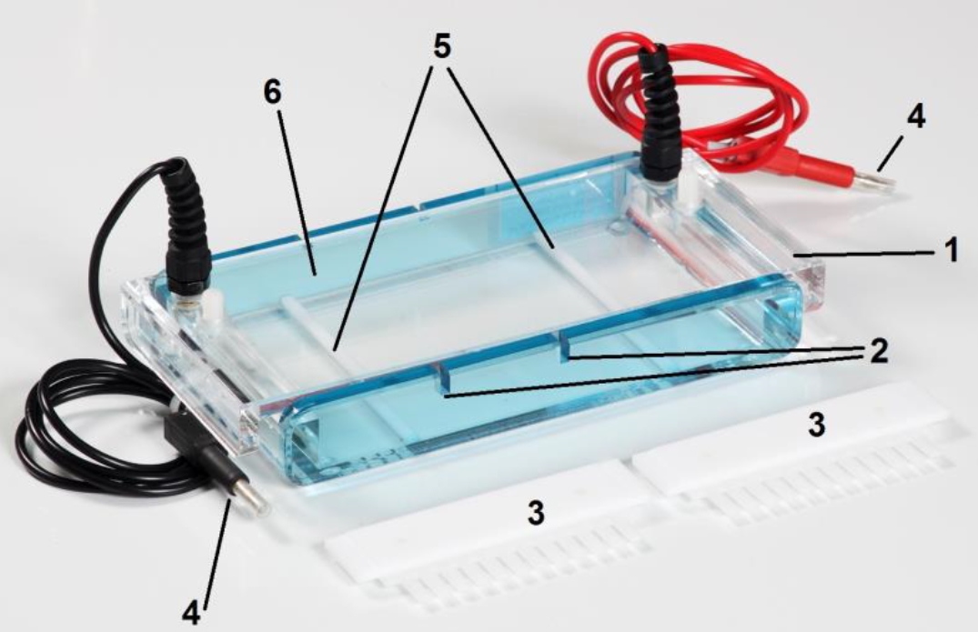 The electrophoresis chamber
