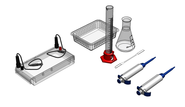 The paternity analysis