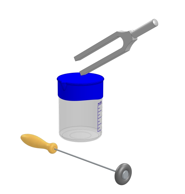 Oscillations of a tuning fork 1