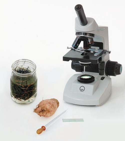 Examination with a microscope